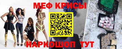 стаф Гатчина
