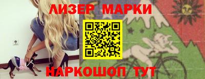 стаф Гатчина