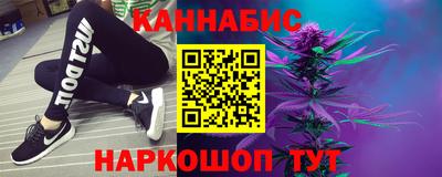 стаф Гатчина