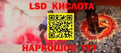 стаф Гатчина