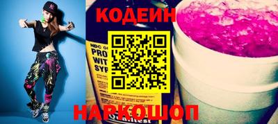 стаф Гатчина
