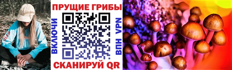 Галлюциногенные грибы Psilocybine cubensis  Комсомольск-на-Амуре 