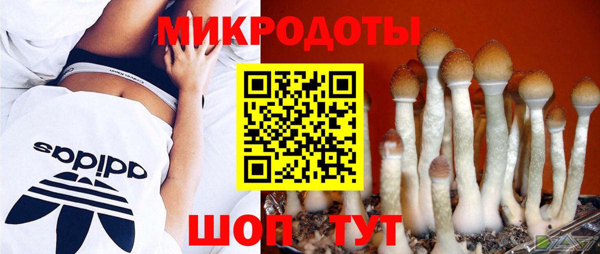 Галлюциногенные грибы Cubensis Комсомольск-на-Амуре