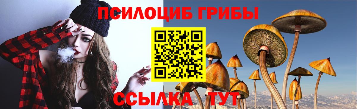 Псилоцибиновые грибы мухоморы  Псилоцибиновые грибы мухоморы  Комсомольск-на-Амуре  Вход с VPN 
